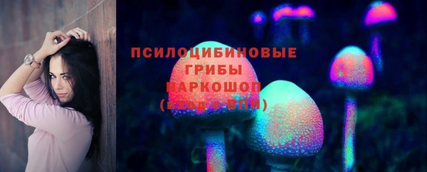 стафф Богородицк