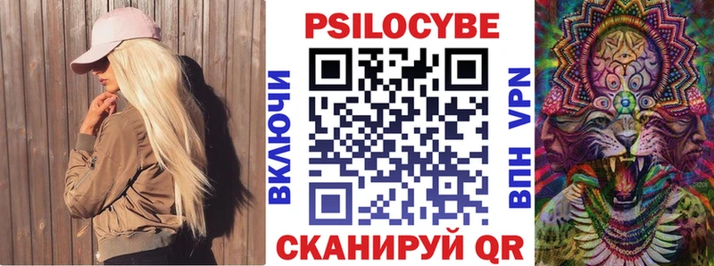 Галлюциногенные грибы Psilocybe hydra ТОР Валдай